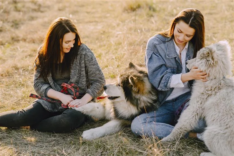 Healing with Pets